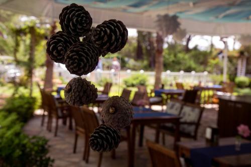 Blue & White Hotel