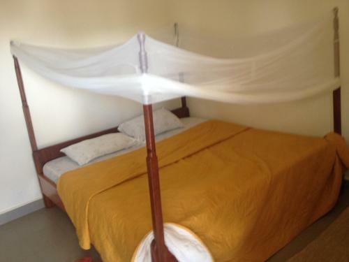 Silverback Homestay And Guest House