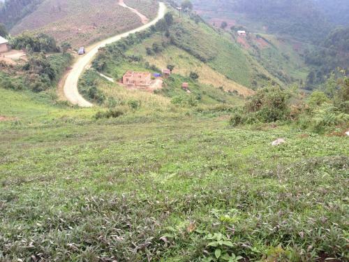 Silverback Homestay And Guest House