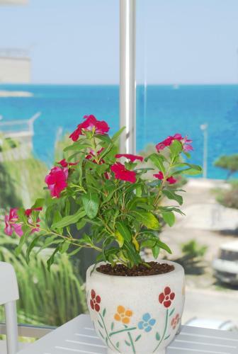 Hotel Palm Beach Otel