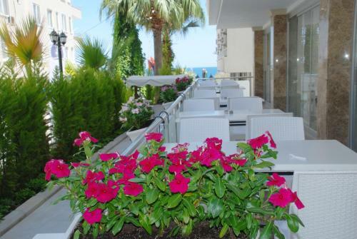 Hotel Palm Beach Otel