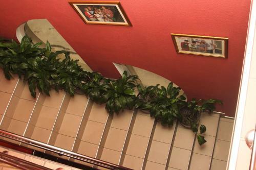 Posada Hotel Deninna