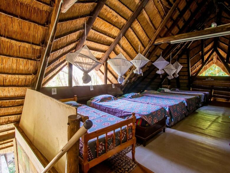 Albergue Victoria Falls Backpackers Lodge