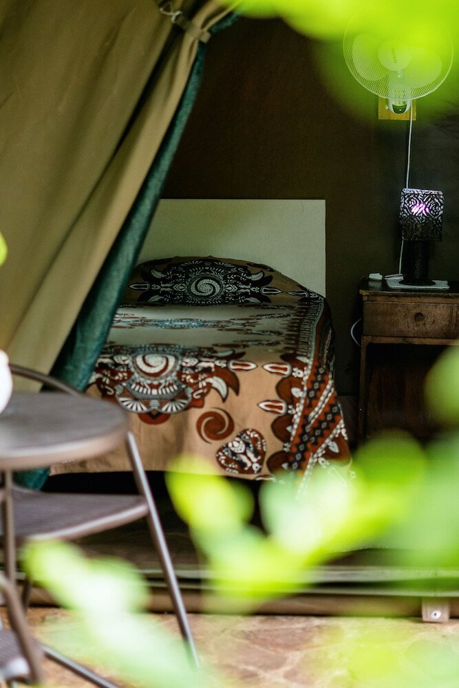 Albergue Victoria Falls Backpackers Lodge