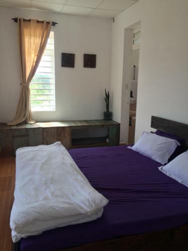 Bed & Breakfast Vanda Garden Hill