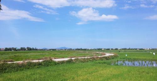 Bed & Breakfast Flora Hoian Villa