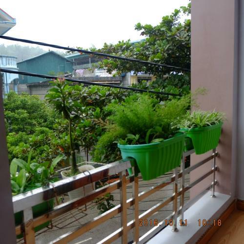 Homestay Muong Thanh