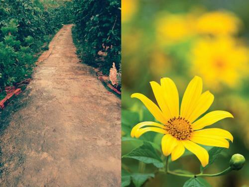 Coffee Valley Homestay