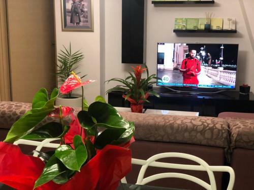 Geri Apartment