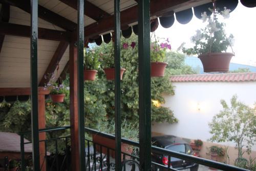 Bed & Breakfast Villa Orion