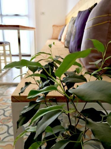 Bed & Breakfast Amberyellowbnb