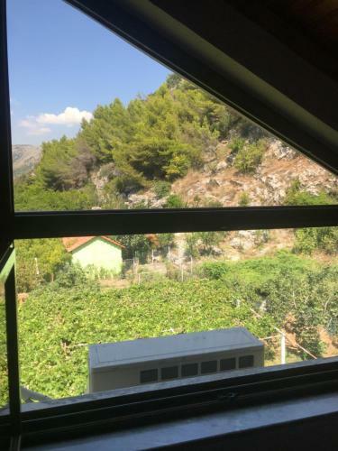 Hotel Aragosta Shengjin 2