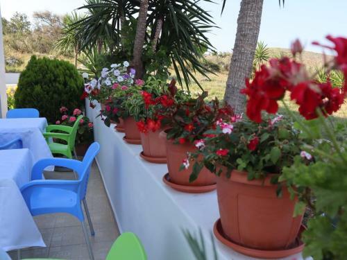 Apartamentos Villa Erdeti
