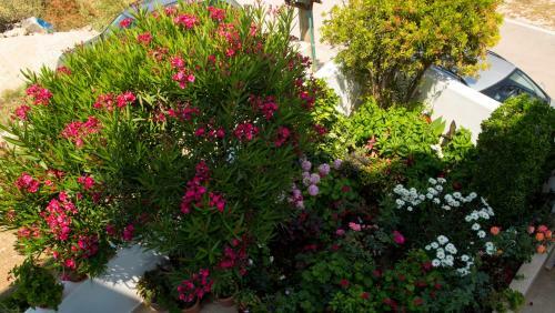 Apartamentos Villa Erdeti