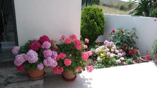 Apartamentos Villa Erdeti
