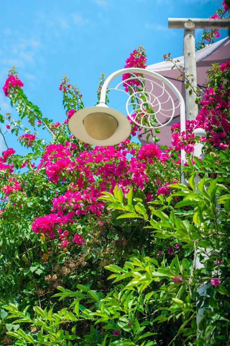 Bougainville Bay Hotel