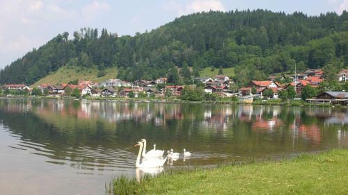 Apartamento Landhaus Seeblick