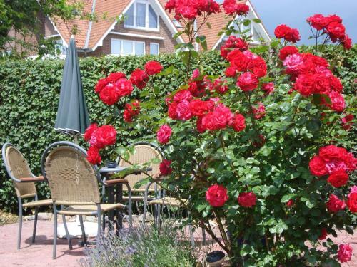 Hostal Pension Hermer