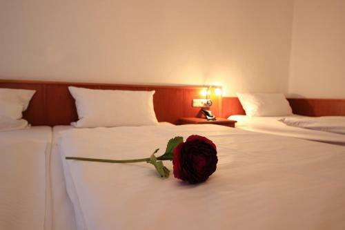 Hostal Altstadthotel F�rth