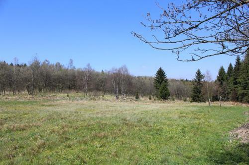 Hostal Waldgasthof Bad Einsiedel