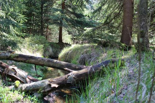 Hostal Waldgasthof Bad Einsiedel