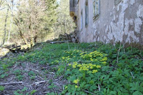Hostal Waldgasthof Bad Einsiedel