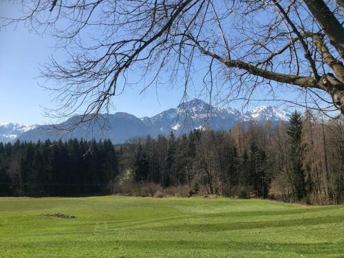 Apartamento Ferienwohnung Lisa