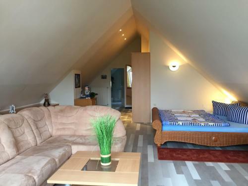 Hostal Pension Cora