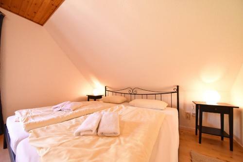 Haus Wiking