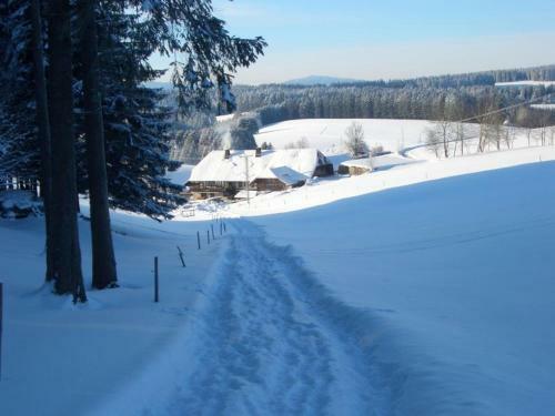 Apartamento Willmannshof