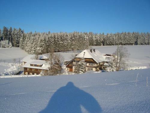 Apartamento Willmannshof