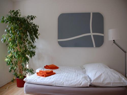 Apartment Zweite Heimat Freiburg