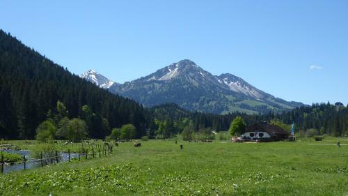 Apartamentos Fw Weissensee