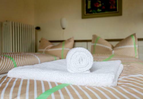 Hostal Pension Rauschberghof