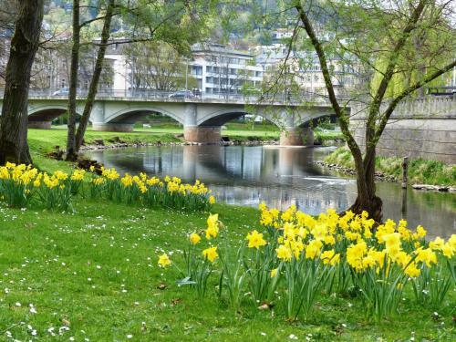 Hotel Bayerischer Hof- D�sch