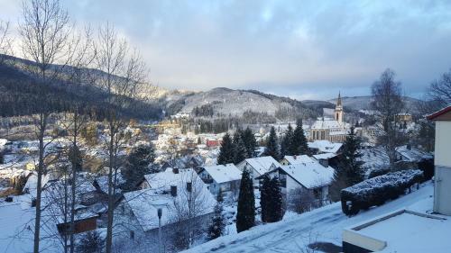 Apartamento Hochschwarzwald Ferienwohnung