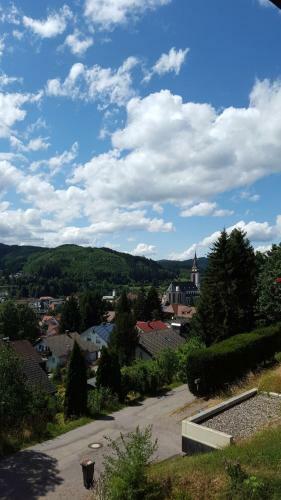Apartamento Hochschwarzwald Ferienwohnung