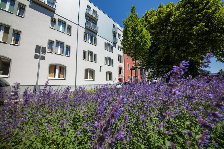Novina Hotel Tillypark