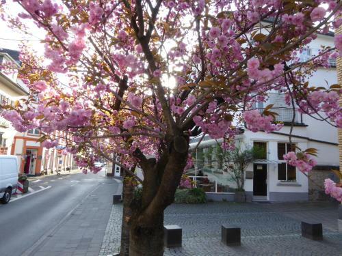 Hotel Bergischer Hof