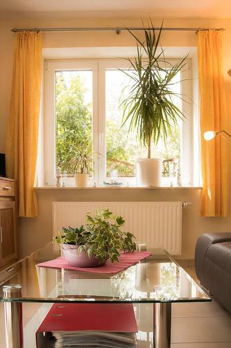 Apartamento Familie Schwantes