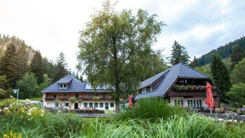 Apartamento Kuckucksnester Menzenschwand