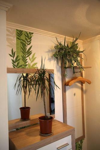 Apartamento Haus Panoramaweg