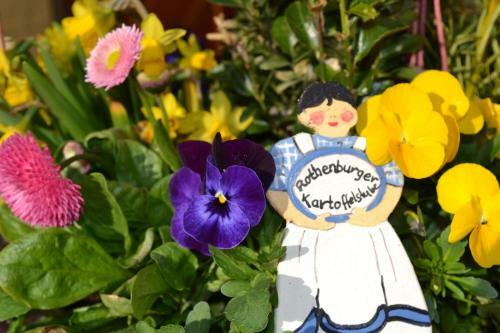 Hostal Hotel Gasthof R�dertor