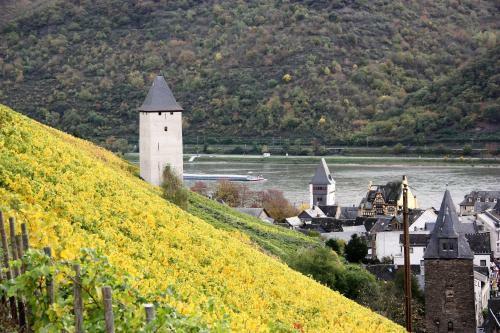 Apartamentos Ferienwohnungen-in-bacharach