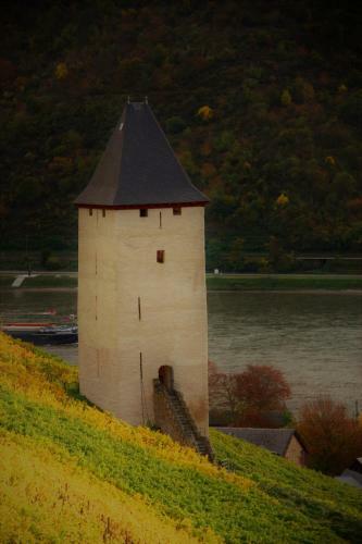 Apartamentos Ferienwohnungen-in-bacharach