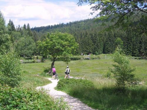 Hotel Bio Sportpension