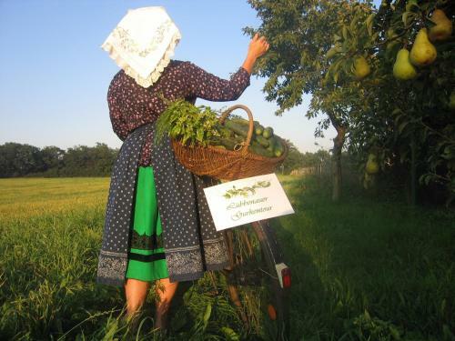 Hostal Spreewald Pension Am Spreeschl��chen