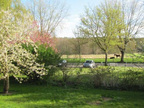 Hotelpension Zur Rose