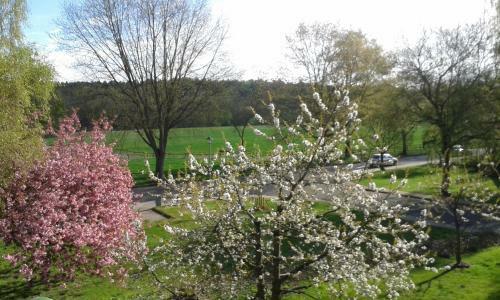 Hotelpension Zur Rose