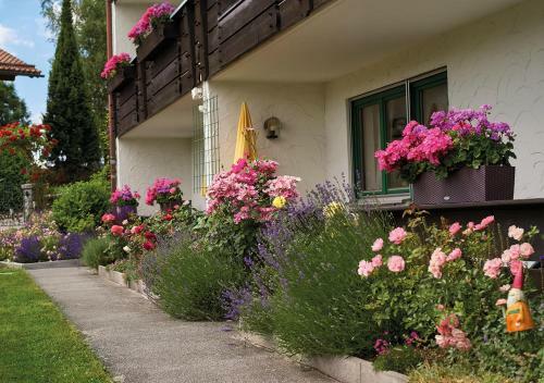 Apartamentos Haus Carola